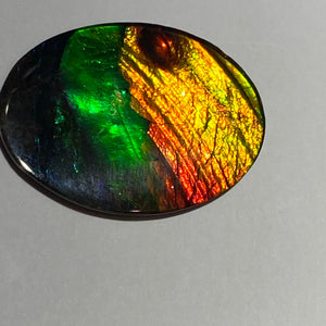 AAA+ ammolite calibrated cabochon. Beautiful blue, green, gold and red colours. 30x 22 mm low dome quartz cap
