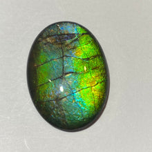 Load image into Gallery viewer, AAA+ ammolite calibrated cabochon. Beautiful green blue pink colours. 25 x 19 mm high dome quartz cap

