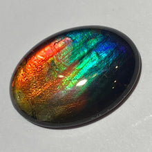 Load image into Gallery viewer, AAA+ ammolite calibrated cabochon. Beautiful rainbow colours. 30x 22 mm low dome quartz cap
