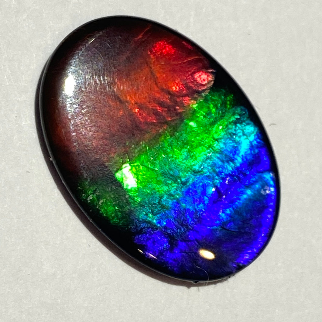 AAA+ ammolite calibrated cabochon. Beautiful flash red, green and blue colours. 25x19 mm low dome quartz cap
