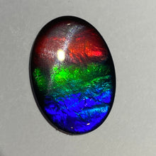 Load image into Gallery viewer, AAA+ ammolite calibrated cabochon. Beautiful flash red, green and blue colours. 25x19 mm low dome quartz cap
